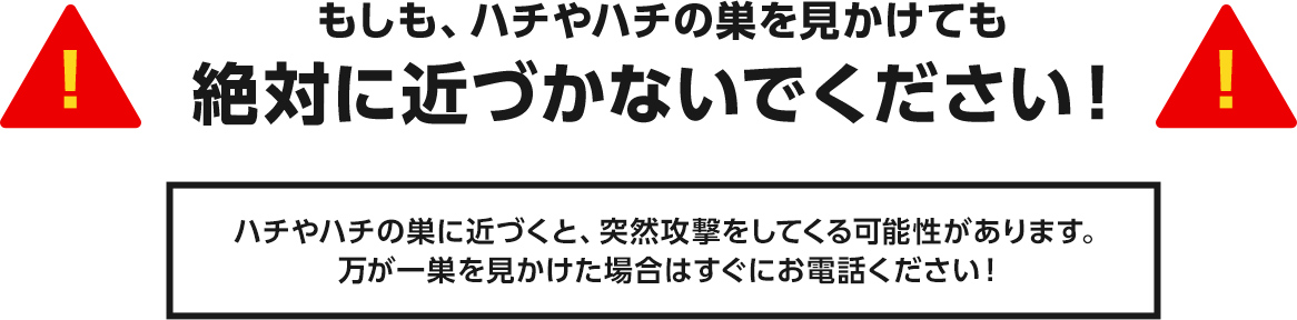 もしも、ハチや蜂の巣を見かけても絶対に近づかないでください!