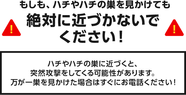 もしも、ハチや蜂の巣を見かけても絶対に近づかないでください!