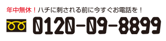 年中無休 今すぐハチに刺される前に!